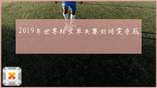 2019年世界杯女单决赛刘诗雯夺冠