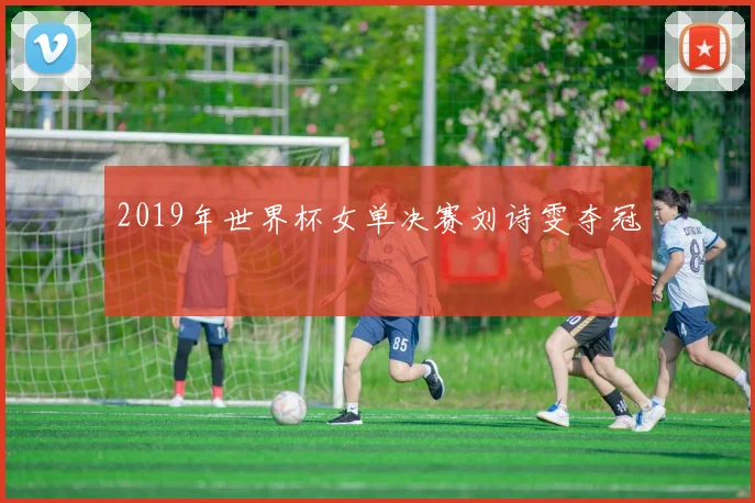 2019年世界杯女单决赛刘诗雯夺冠