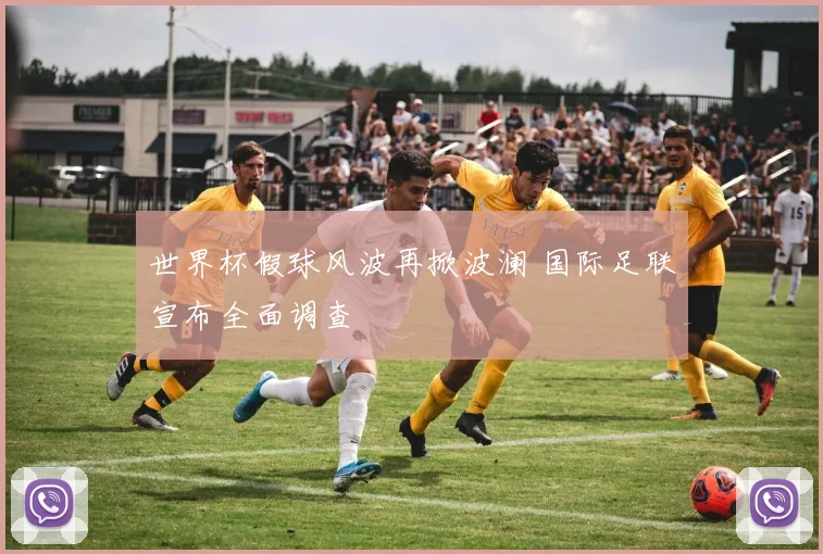 世界杯假球风波再掀波澜 国际足联宣布全面调查