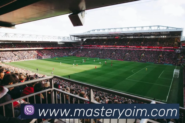 辅助工具 辅助工具